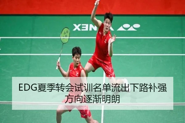 EDG夏季转会试训名单流出下路补强方向逐渐明朗 - QYSport